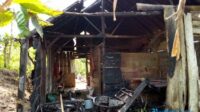 Aksi Bakar Rumah di Jember Dipicu Seteru Batas Kebun Kopi, 1 Diringkus