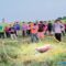 Pencari rumput