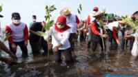 Mari Sedekah Oksigen dengan Tanam Mangrove
