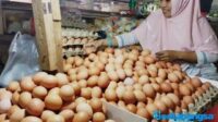 Harga Telur di Pasar Tradisional Sampang Naik, Pedagang dan Konsumen Mengeluh