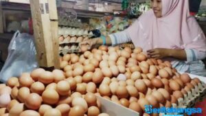 Harga Telur di Pasar Tradisional Sampang Naik, Pedagang dan Konsumen Mengeluh