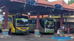 Imbas BBM Naik, Tarif Bus Patas di Probolinggo Naik 20%