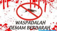 DBD Renggut 4 Nyawa, Dinkes Malang Warning Kebersihan Lingkungan