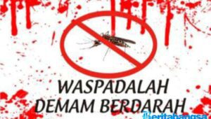 DBD Renggut 4 Nyawa, Dinkes Malang Warning Kebersihan Lingkungan