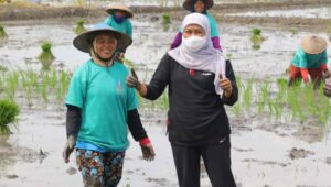 Kok Bisa NTP Petani Jatim Naik, Indikator Apa ?