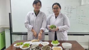 Mi Tebak, Inovasi 2 Mahasiswi Ubaya dari Tempe dan Daun Sengkubak
