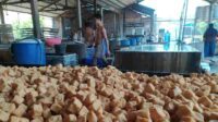Jerit Produsen Tahu di Jombang, Harga Kedelai Naik, Ukuran Diperkecil