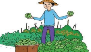 BBM Naik, Ini Dampaknya Bagi Petani Lebong