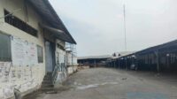 Dekat Pemotongan Babi, PPSDS Tolak Pemindahan RPH Kedurus