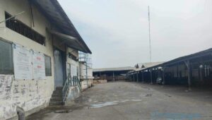 Dekat Pemotongan Babi, PPSDS Tolak Pemindahan RPH Kedurus
