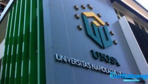 Keren, Usia 9 Tahun Unusa Raih Peringkat 1 Publikasi Scopus