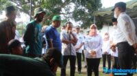 Blitar Kini Punya Pasar Lelang Cabai di Desa Kolomayan