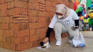 Street Feeding, Cara Merayakan Hari Hewan se Dunia ala  Perempuan di Probolinggo