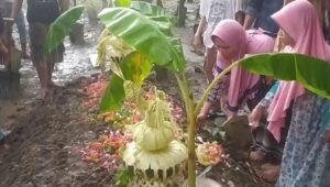 Diguyur Tangis dan Hujan Iringi Pemakaman Korban Tragedi Malang Asal Jombang Ini