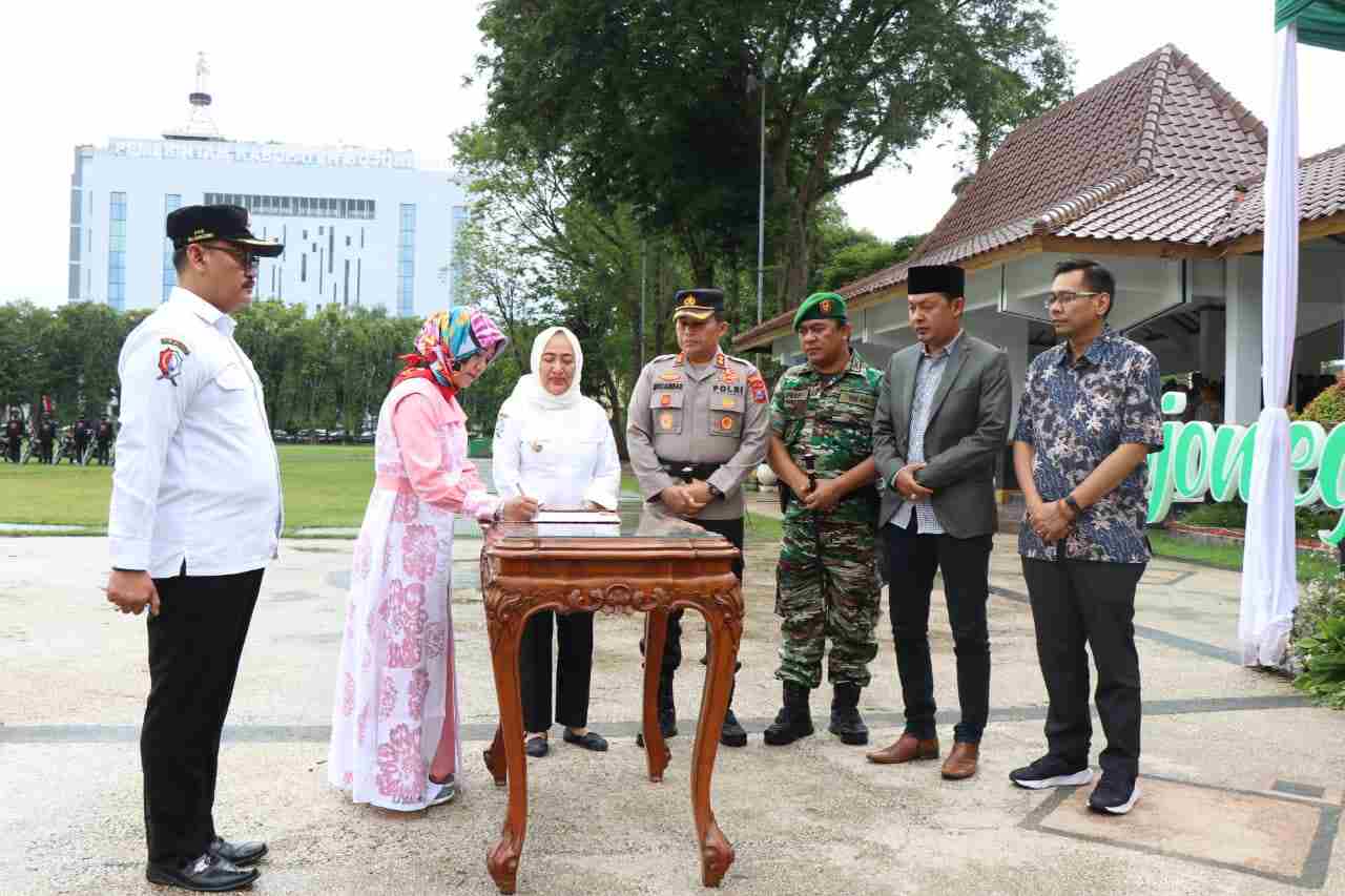 Deklarasi Damai