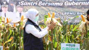 Jatim Jadi Lumbung Pangan Nasional