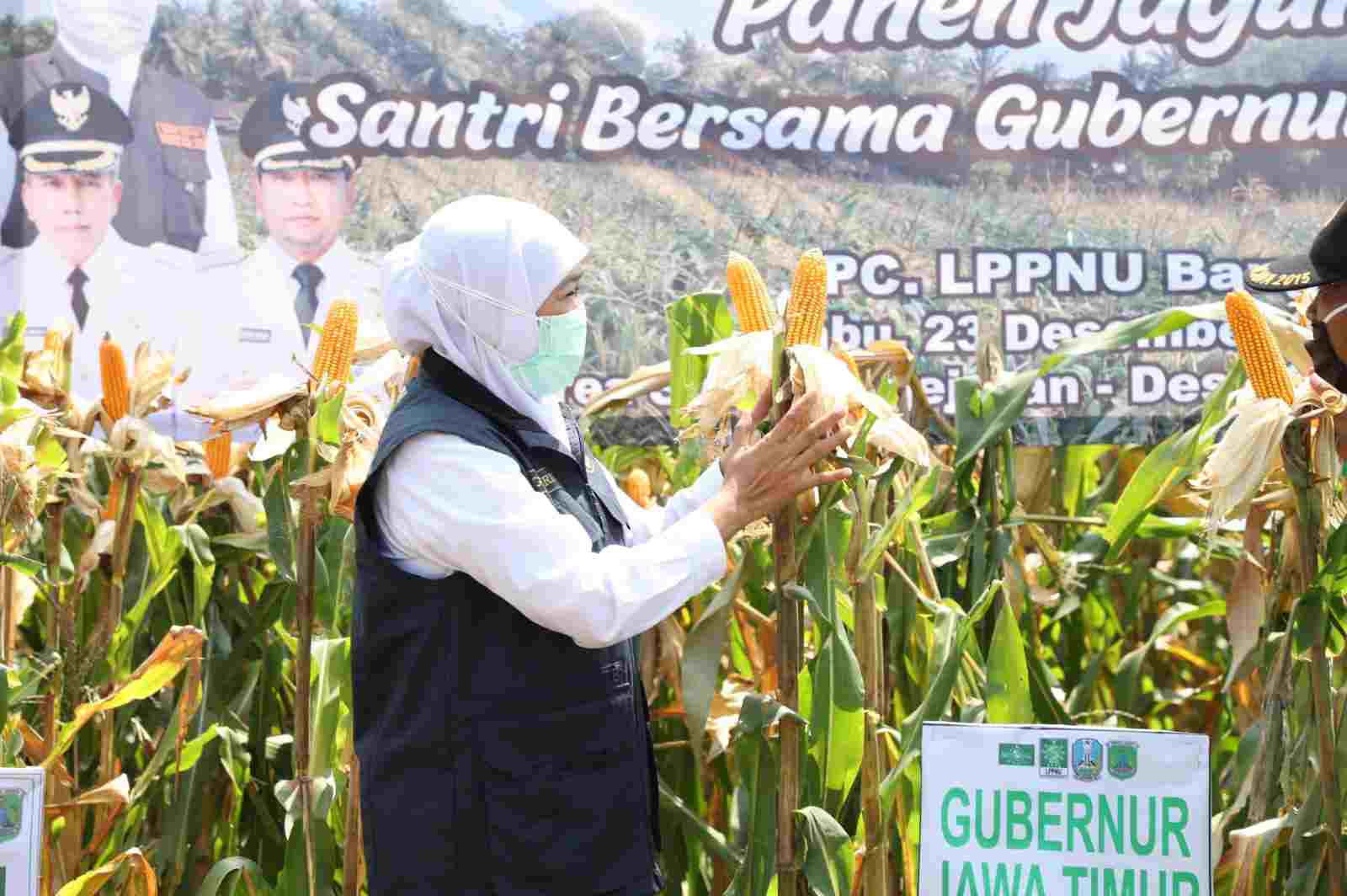 lumbung pangan
