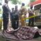 Penjual Burung