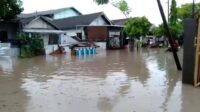 Sungai Kertosono Meluber, Rendam Rumah Warga Probolinggo