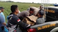 Kelelahan, Duda Pencari Rumput di Jombang Tewas di Pinggir Jalan