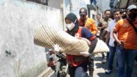 Balita Tewas Minum Sufor Belum Terungkap, si Ayah Ditangkap Polisi