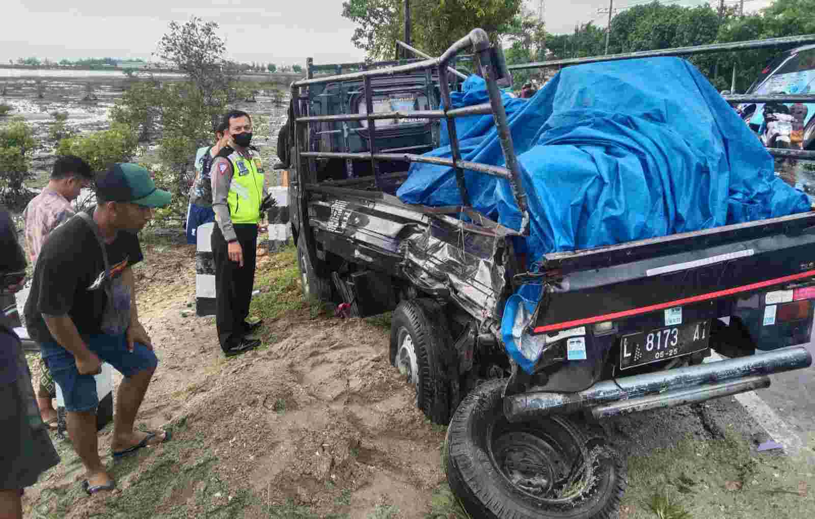 bus pikap