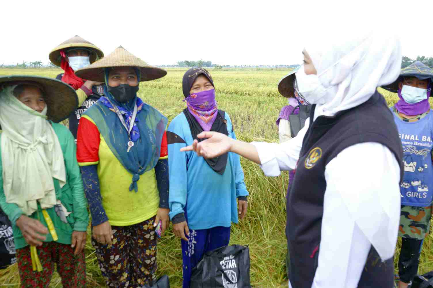 Ngawi Surplus