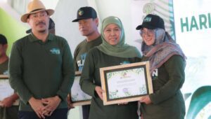 Target Net Zero Emission 2060, Khofifah Tanam Sejuta Pohon di Trenggalek