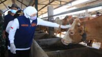Jatim Jadi Barometer Nasional Komoditas Pangan dari Sektor Peternakan