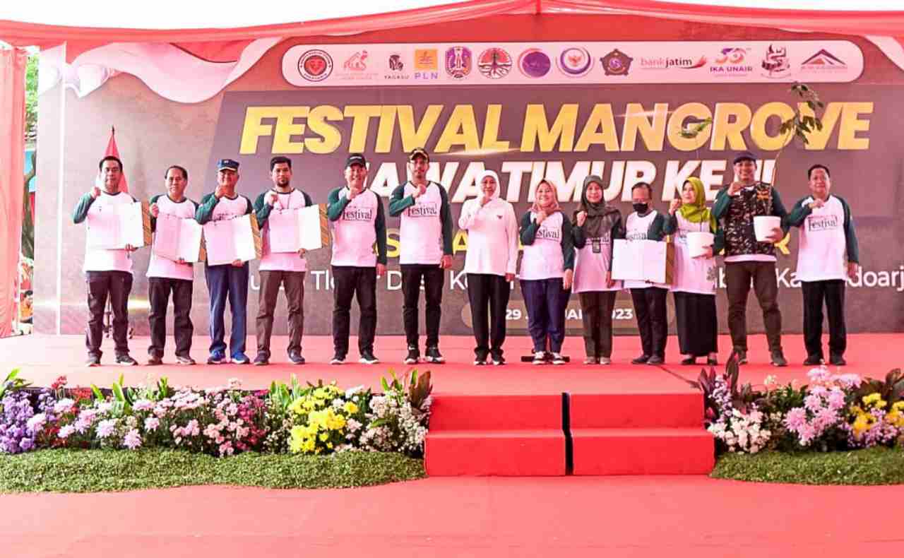 Festval Mangrove