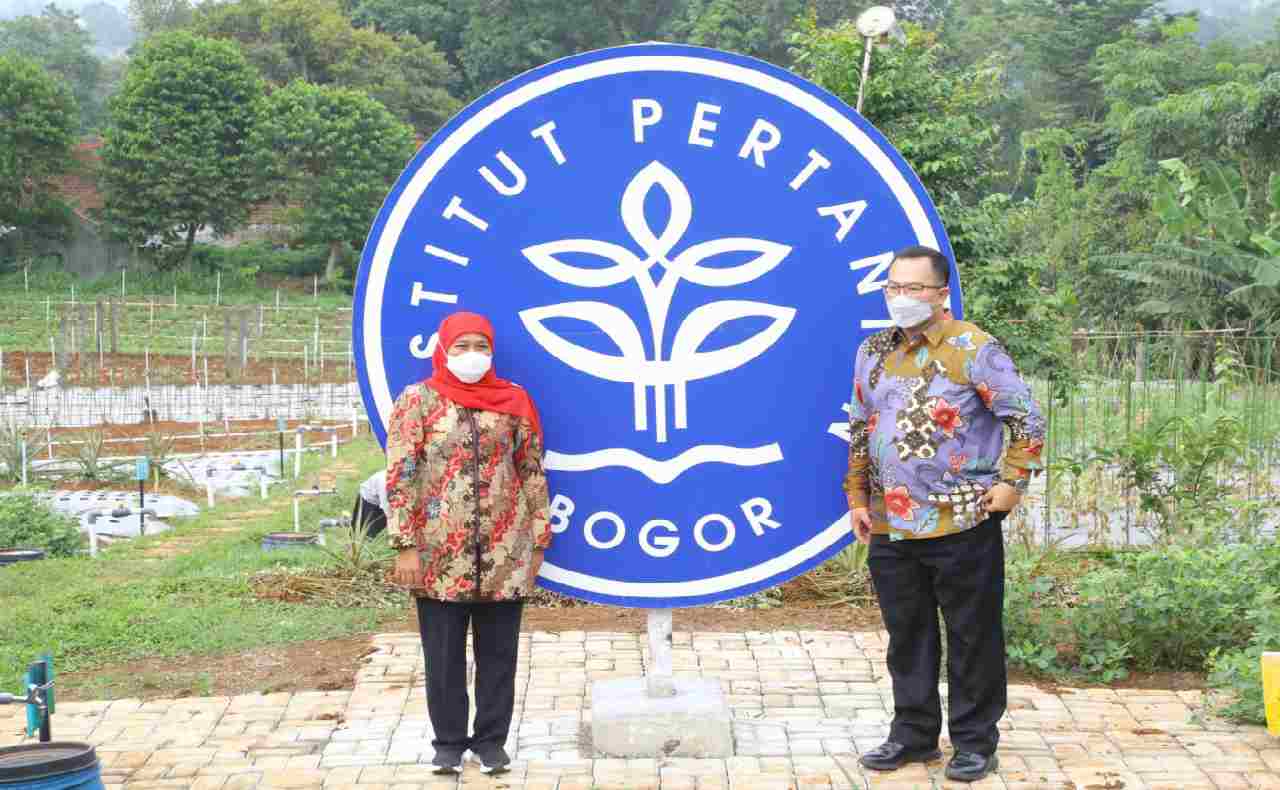 Rektor IPB