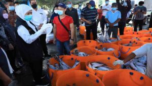 Produksi Ikan Tangkap Tertinggi se Indonesia, Jatim Optimis Kemandirian Pangan