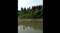 Penemuan Mayat Pria Disabilitas di Sungai Gegerkan Warga Jombang