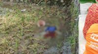 Warga Siwalanpanji Geger, Ada Mayat Bayi di Sawah