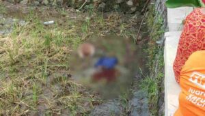 Warga Siwalanpanji Geger, Ada Mayat Bayi di Sawah