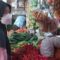 Harga Bapok
