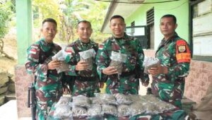 Satgas Pamtas Yonif 132/BS Gagalkan Penyelundupan Ganja di Perbatasan PNG
