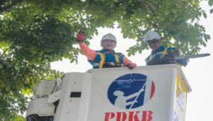 Gerpas Pohon Serentak Jember Dilaksanakan di 3 Kecamatan Ini