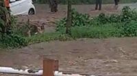 Banjir Susulan Ijen, di Sejumlah Titik di Bondowoso Terendam