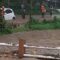 Banjir susulan