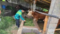 Beri Peluang Beasiswa Kuliah Gratis untuk Masyarakat Tirtoyudo, Hasanuddin Wahid Siap Bantu