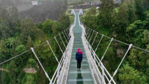 Jembatan Kaca Seruni Point, Primadona Icon Baru Wisata Bromo