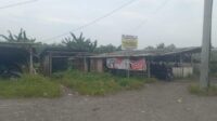 Geger Izin SKR Lahan Pemkab Lumajang, Basori Ngaku Namanya Dicatut