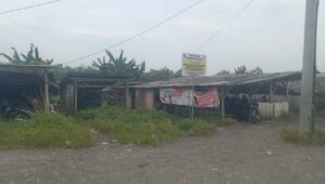 Geger Izin SKR Lahan Pemkab Lumajang, Basori Ngaku Namanya Dicatut