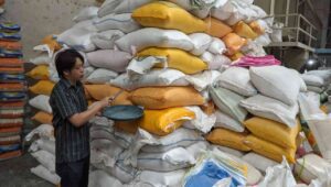 Distributor di Kota Probolinggo Kelimpungan, Stok Beras Minim Permintaan Tinggi