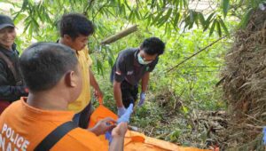 Cari Rebung di Kebun Bambu, Warga Jombang Temukan Tengkorak Manusia