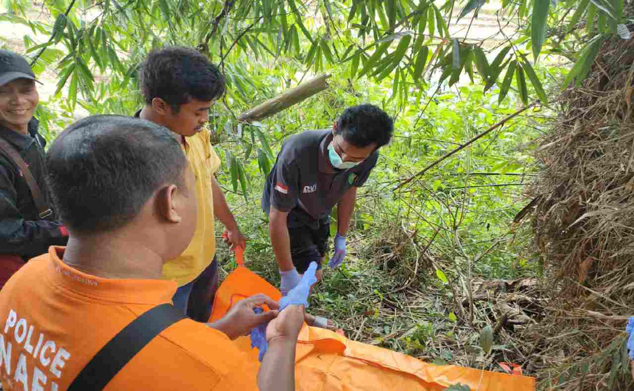 Tengkorak Manusia