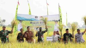 Bupati Blitar Panen Padi Inbrida Bersama Gapoktan Rukun Tani Sentosa di Desa Dadaplango