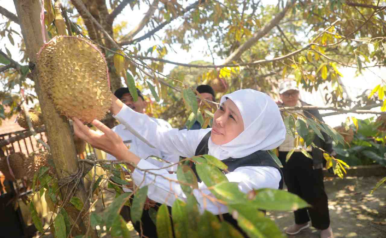 Kampung Durian