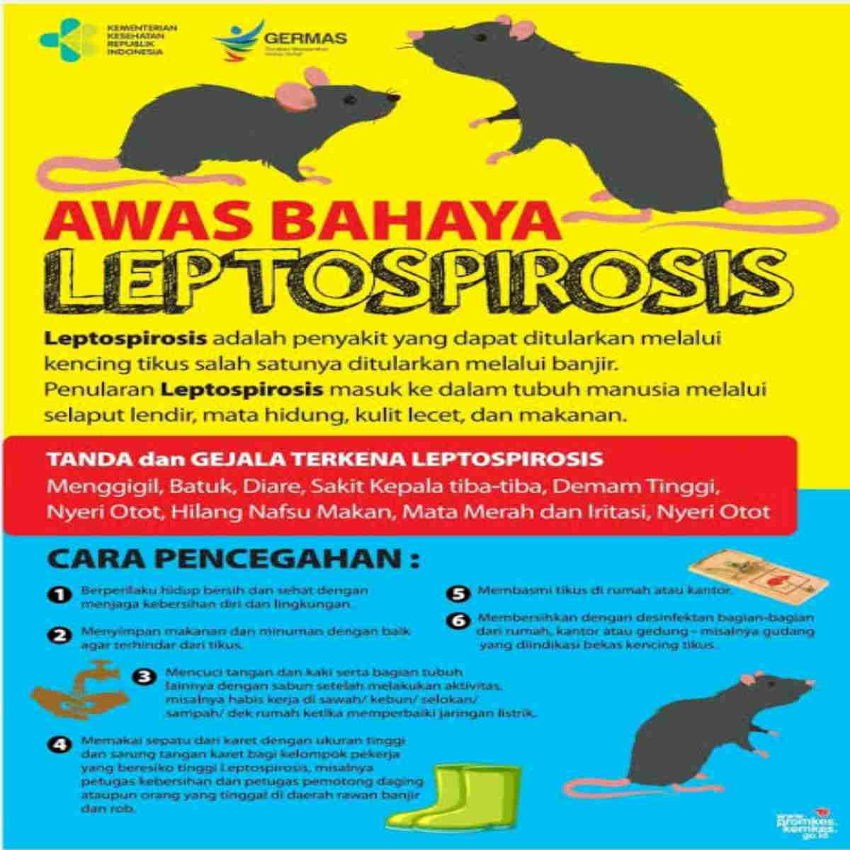 Leptospirosis